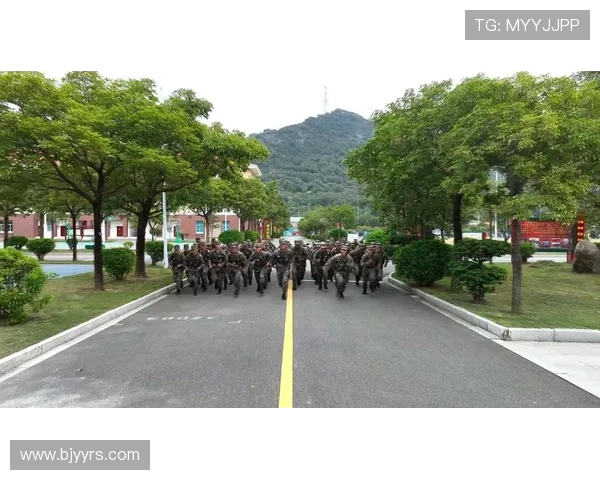 武汉排球队的蜕变之路：从传统强队到现代化新生力量的探索与实践